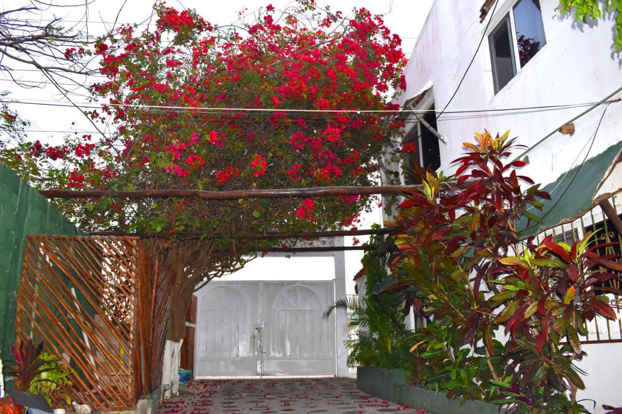 Lobo Inn Tulum Exterior foto