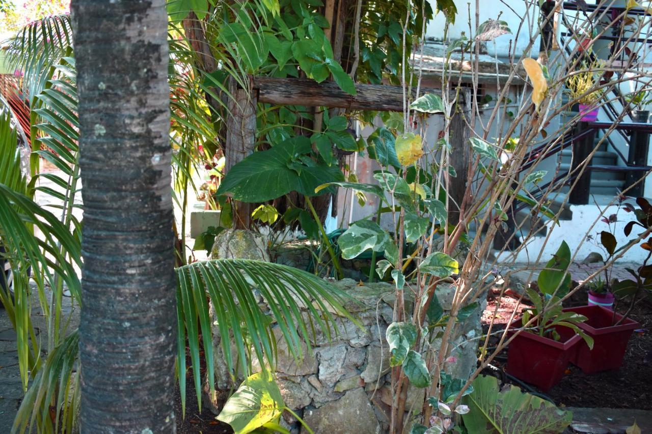 Lobo Inn Tulum Exterior foto