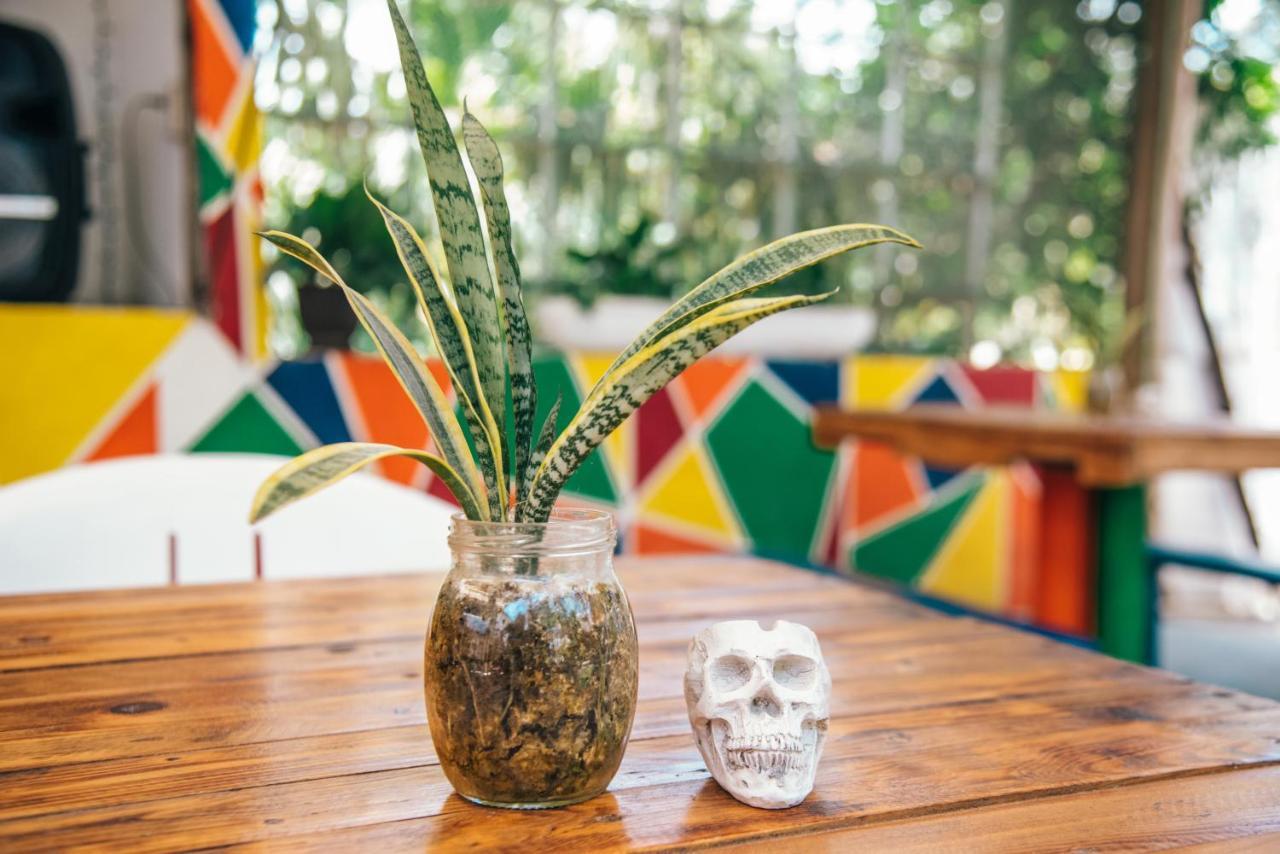 Lobo Inn Tulum Exterior foto